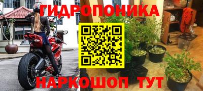 ГАЛЛЮЦИНОГЕННЫЕ ГРИБЫ Краснодар