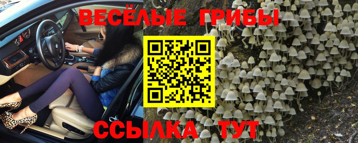 Южно-Сахалинск  Галлюциногенные грибы GOLDEN TEACHER  Вход с VPN 